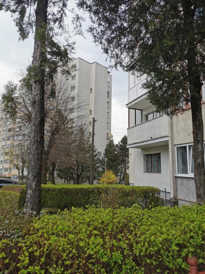 קלוז'-נאפוקה Apartament Maysa מראה חיצוני תמונה