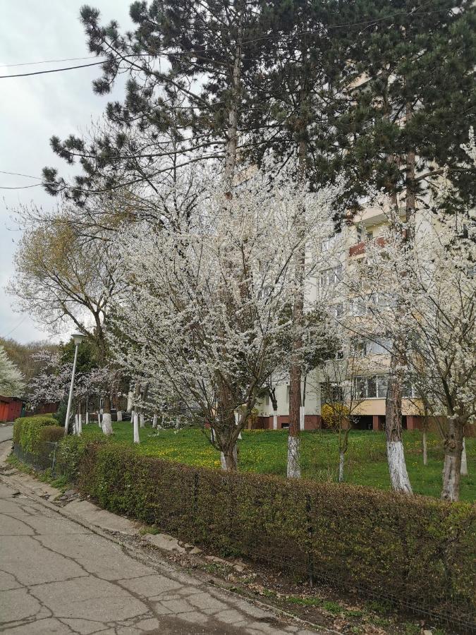 קלוז'-נאפוקה Apartament Maysa מראה חיצוני תמונה