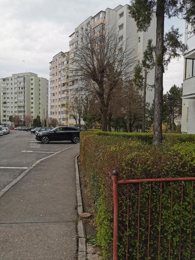 קלוז'-נאפוקה Apartament Maysa מראה חיצוני תמונה