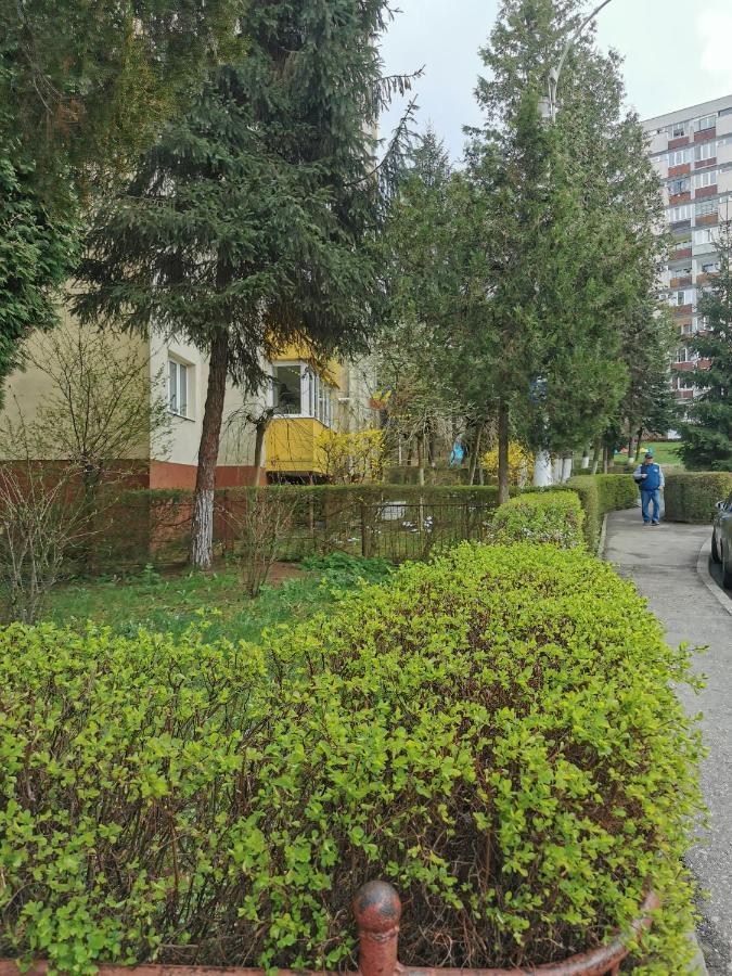 קלוז'-נאפוקה Apartament Maysa מראה חיצוני תמונה